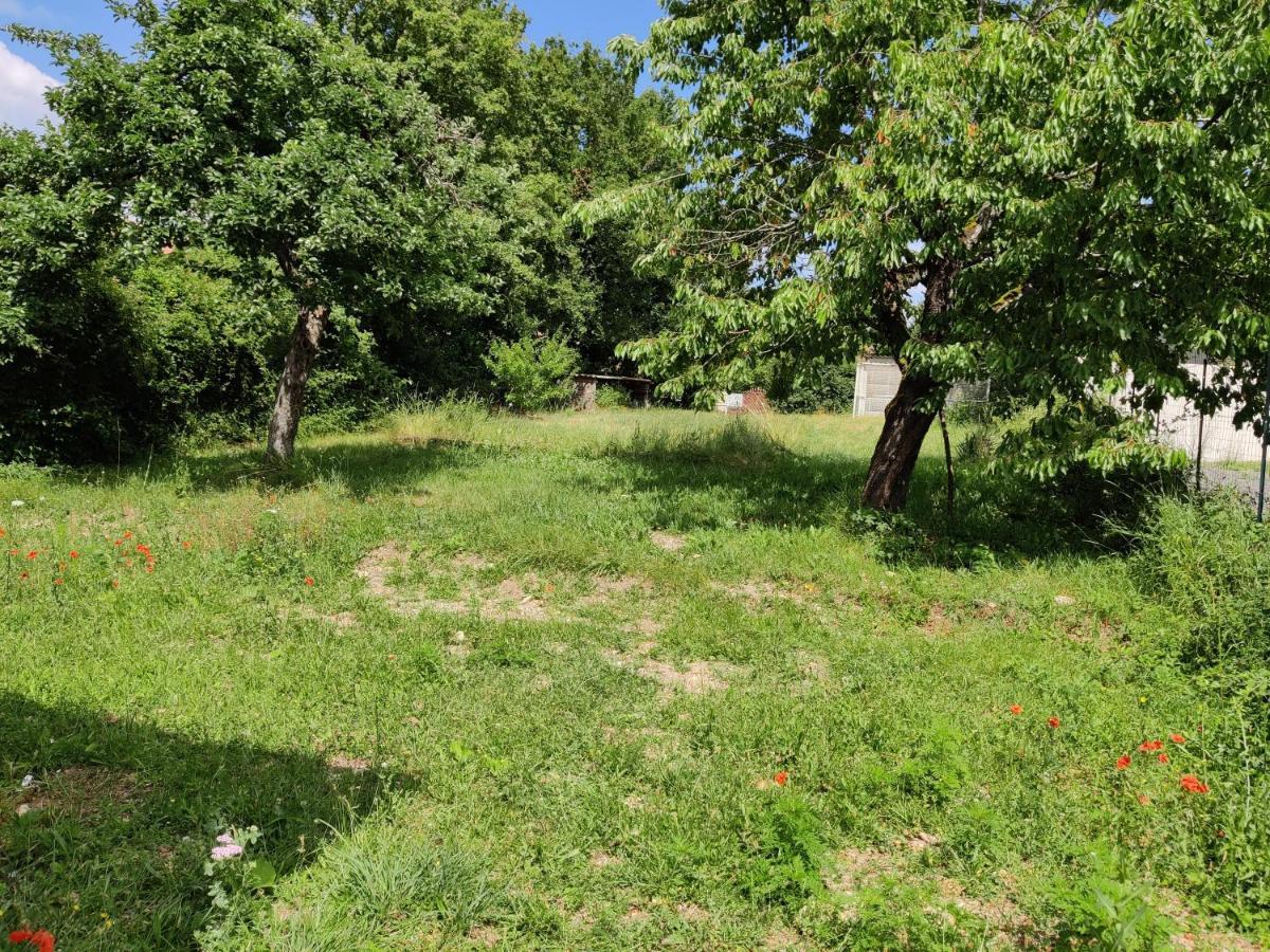 Studio Spacieux Tout Equipe Avec Jardin Varennes-Vauzelles Kültér fotó